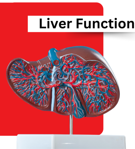 Liver & Pancreas Profile